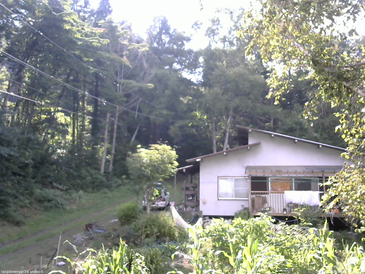 長野県菅平高原 ゆたか山荘 西側(坂上) 2025/08/31 15:00