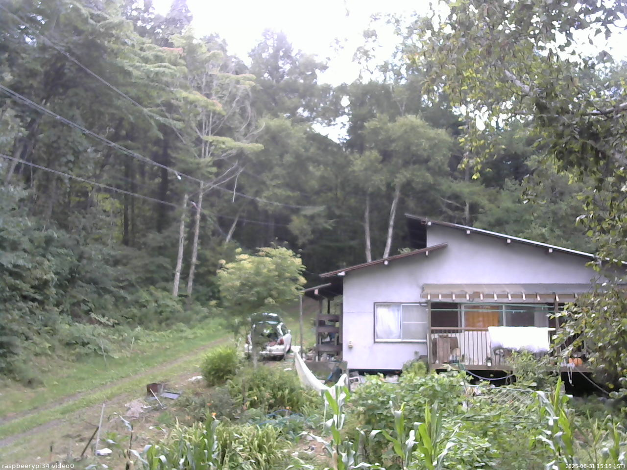 長野県菅平高原 ゆたか山荘 西側(坂上) 2025/08/31 15:15