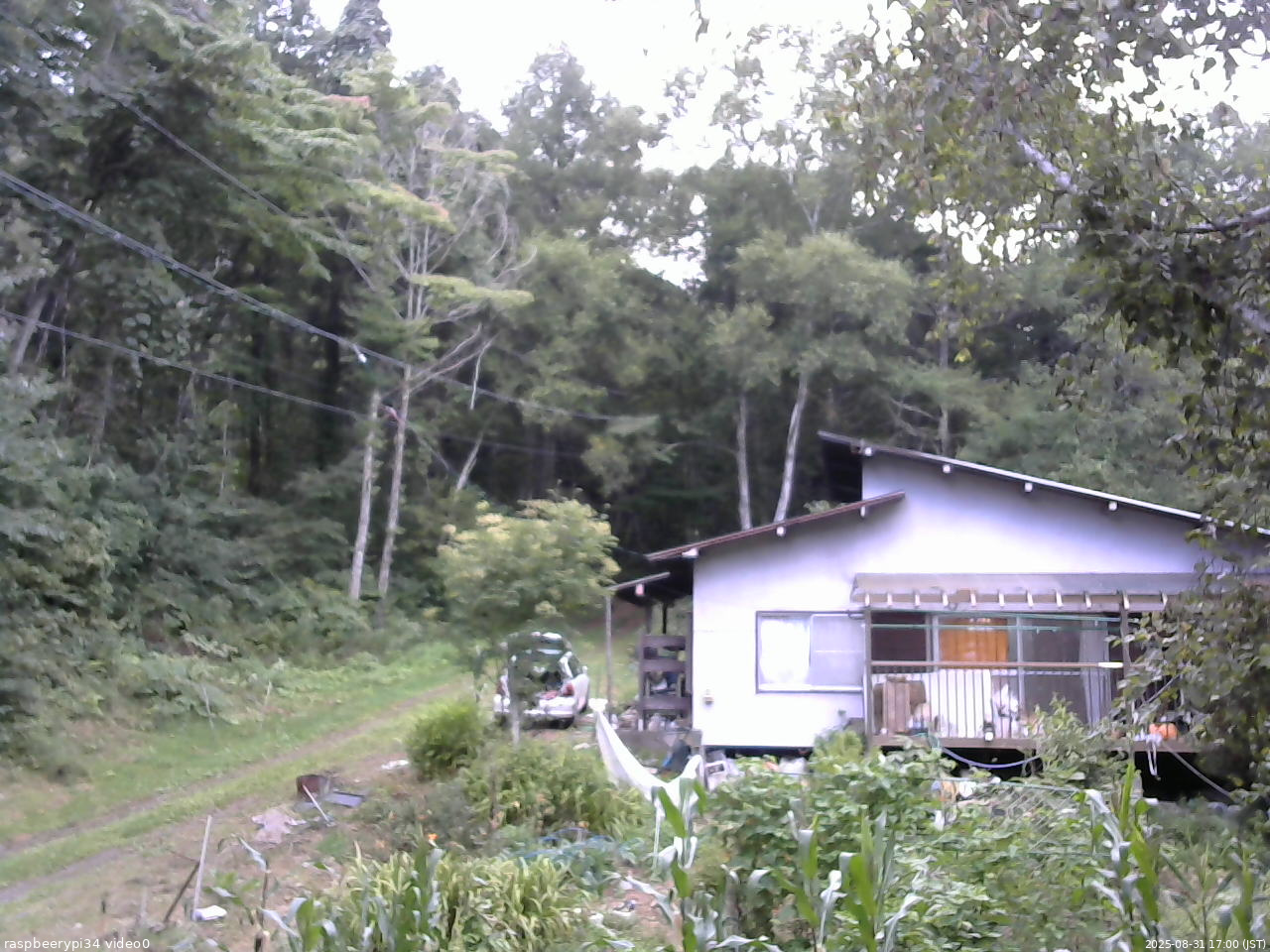長野県菅平高原 ゆたか山荘 西側(坂上) 2025/08/31 17:00