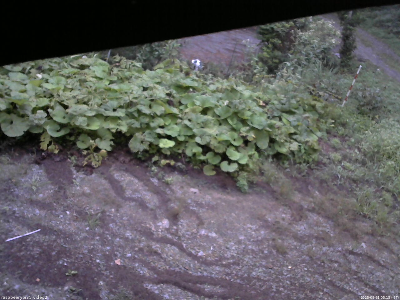 長野県菅平高原 ゆたか山荘 駐車場 2025/08/31 05:15