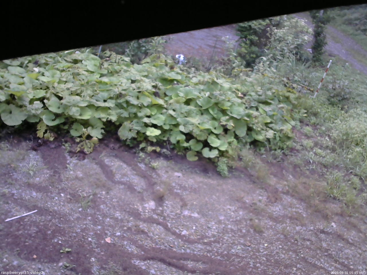 長野県菅平高原 ゆたか山荘 駐車場 2025/08/31 05:45