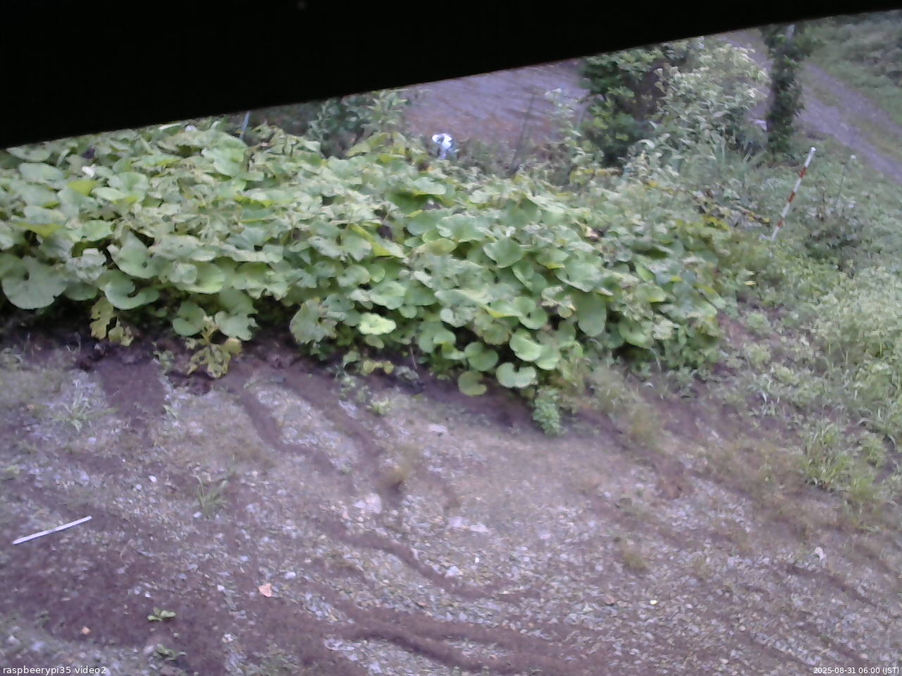 長野県菅平高原 ゆたか山荘 駐車場 2025/08/31 06:00