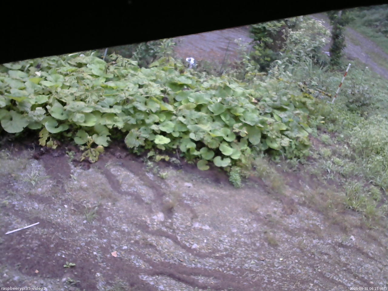 長野県菅平高原 ゆたか山荘 駐車場 2025/08/31 06:15