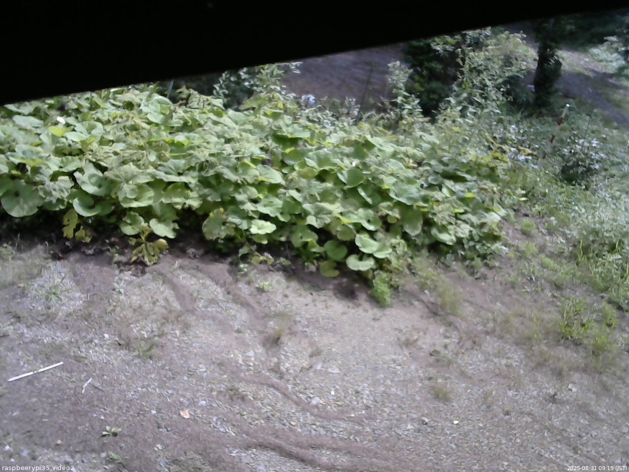 長野県菅平高原 ゆたか山荘 駐車場 2025/08/31 09:15