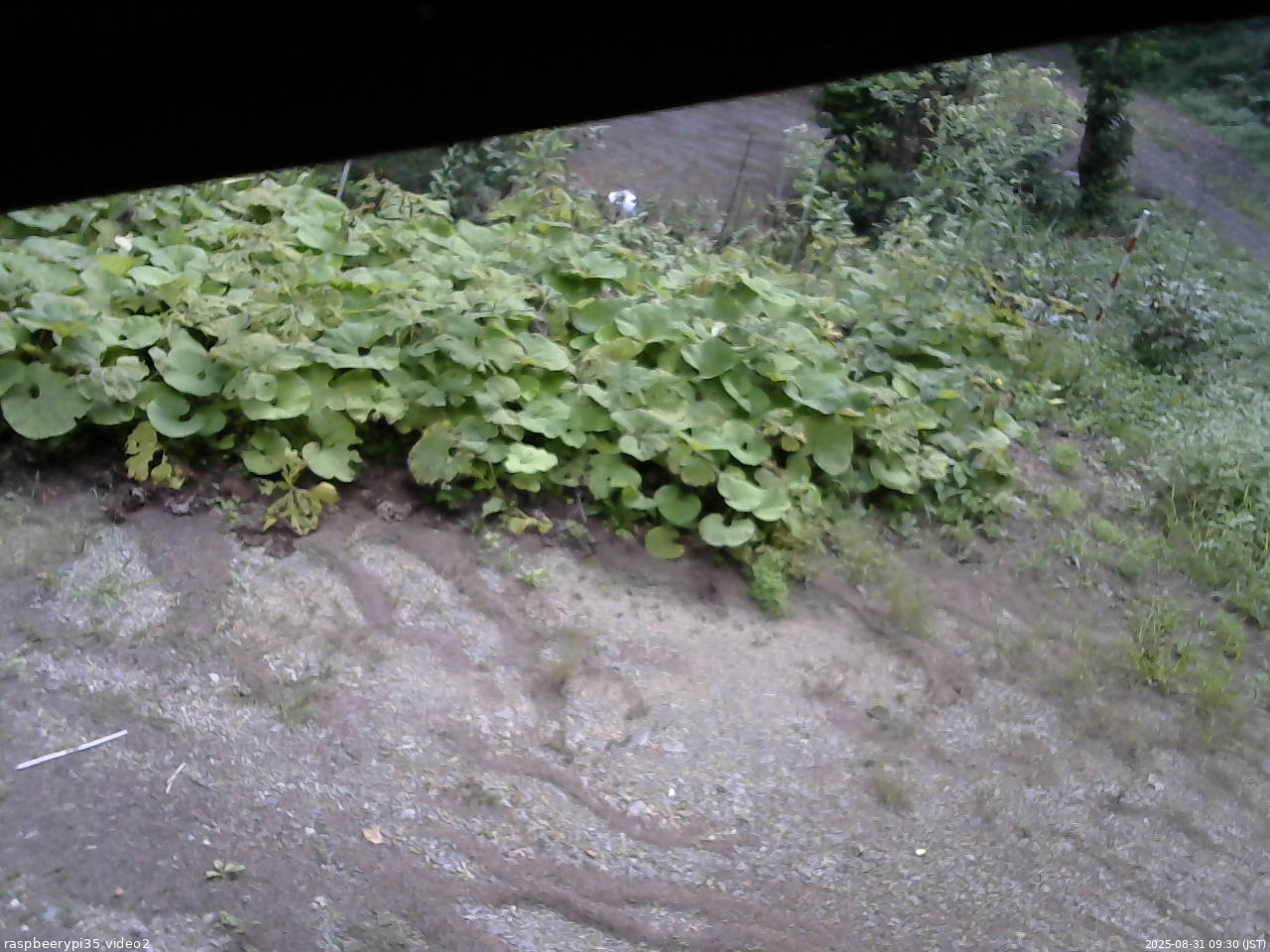 長野県菅平高原 ゆたか山荘 駐車場 2025/08/31 09:30