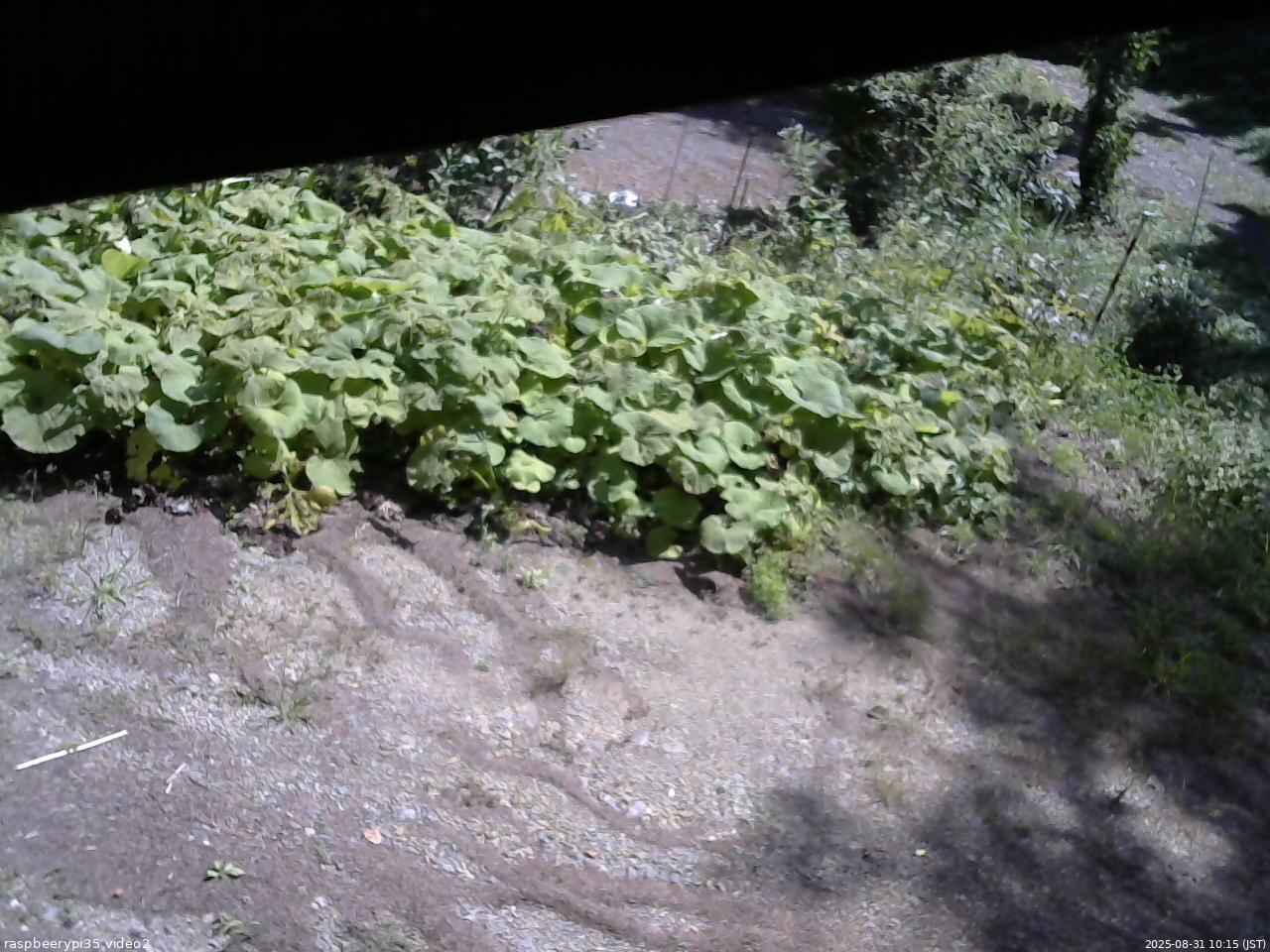 長野県菅平高原 ゆたか山荘 駐車場 2025/08/31 10:15