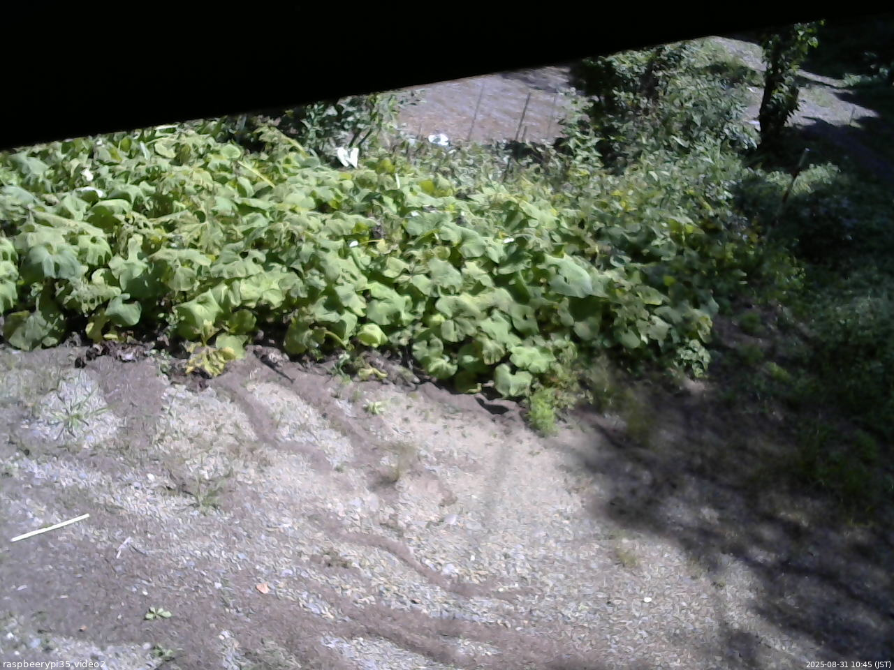 長野県菅平高原 ゆたか山荘 駐車場 2025/08/31 10:45