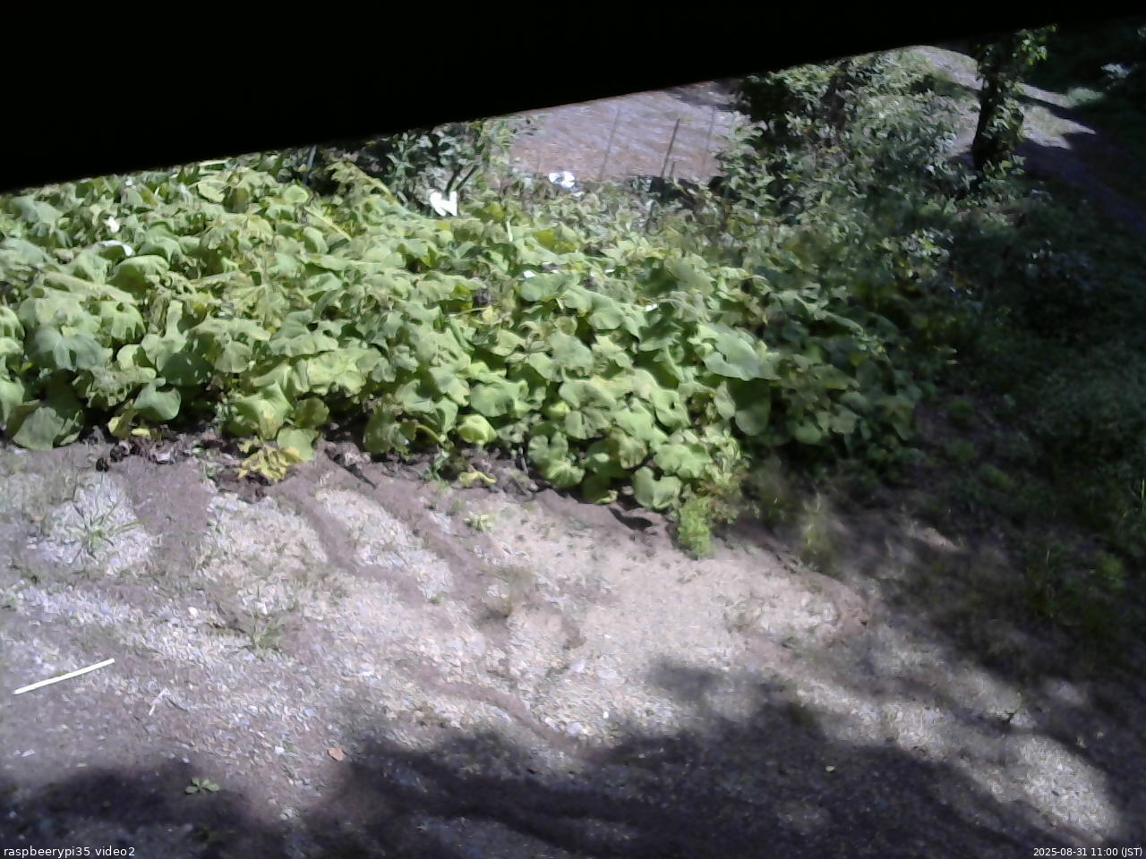 長野県菅平高原 ゆたか山荘 駐車場 2025/08/31 11:00