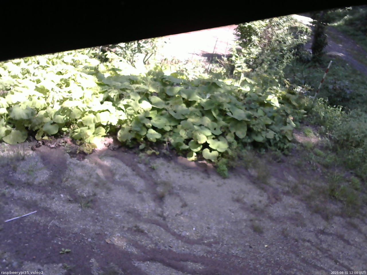 長野県菅平高原 ゆたか山荘 駐車場 2025/08/31 12:00