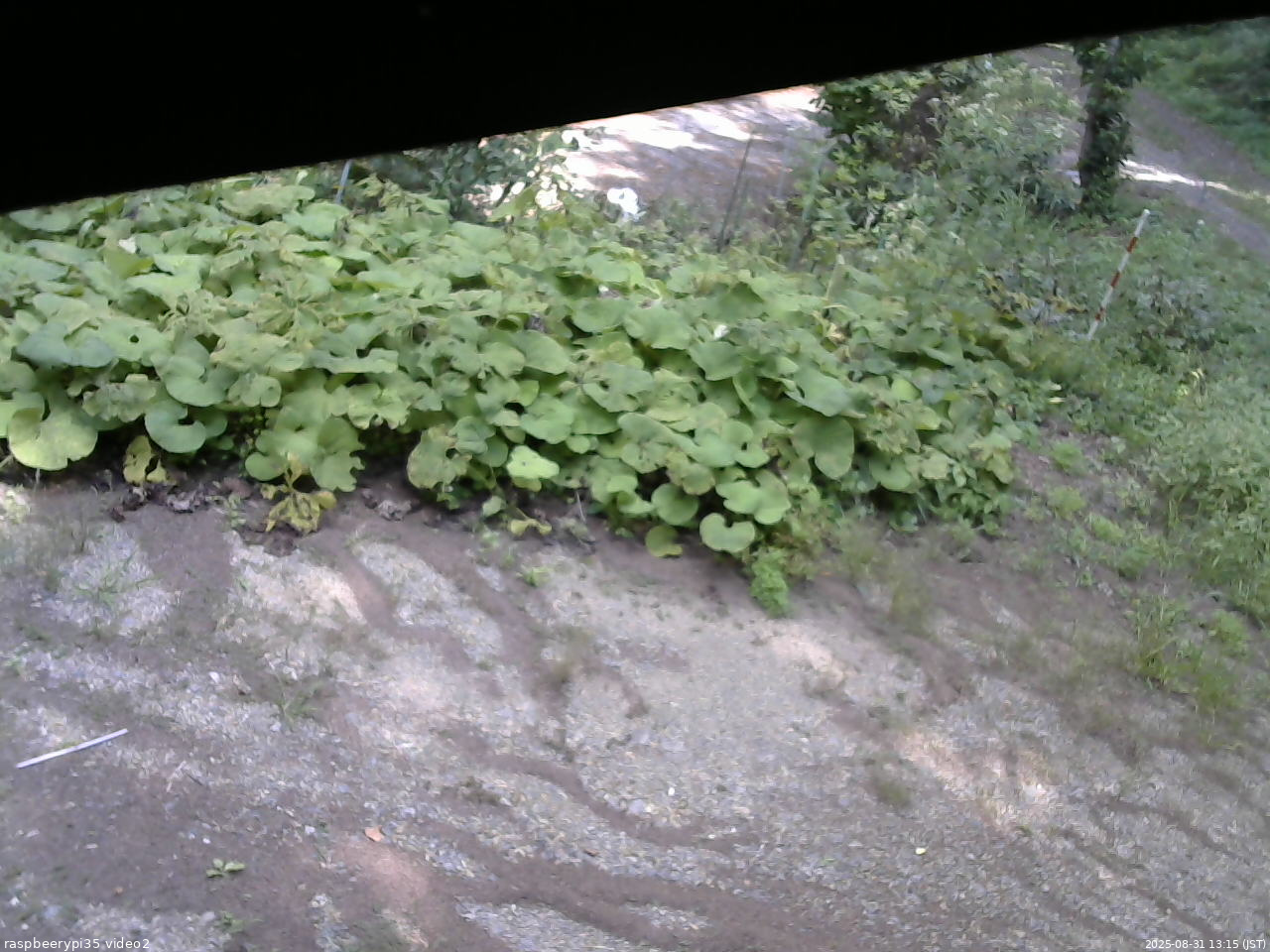 長野県菅平高原 ゆたか山荘 駐車場 2025/08/31 13:15