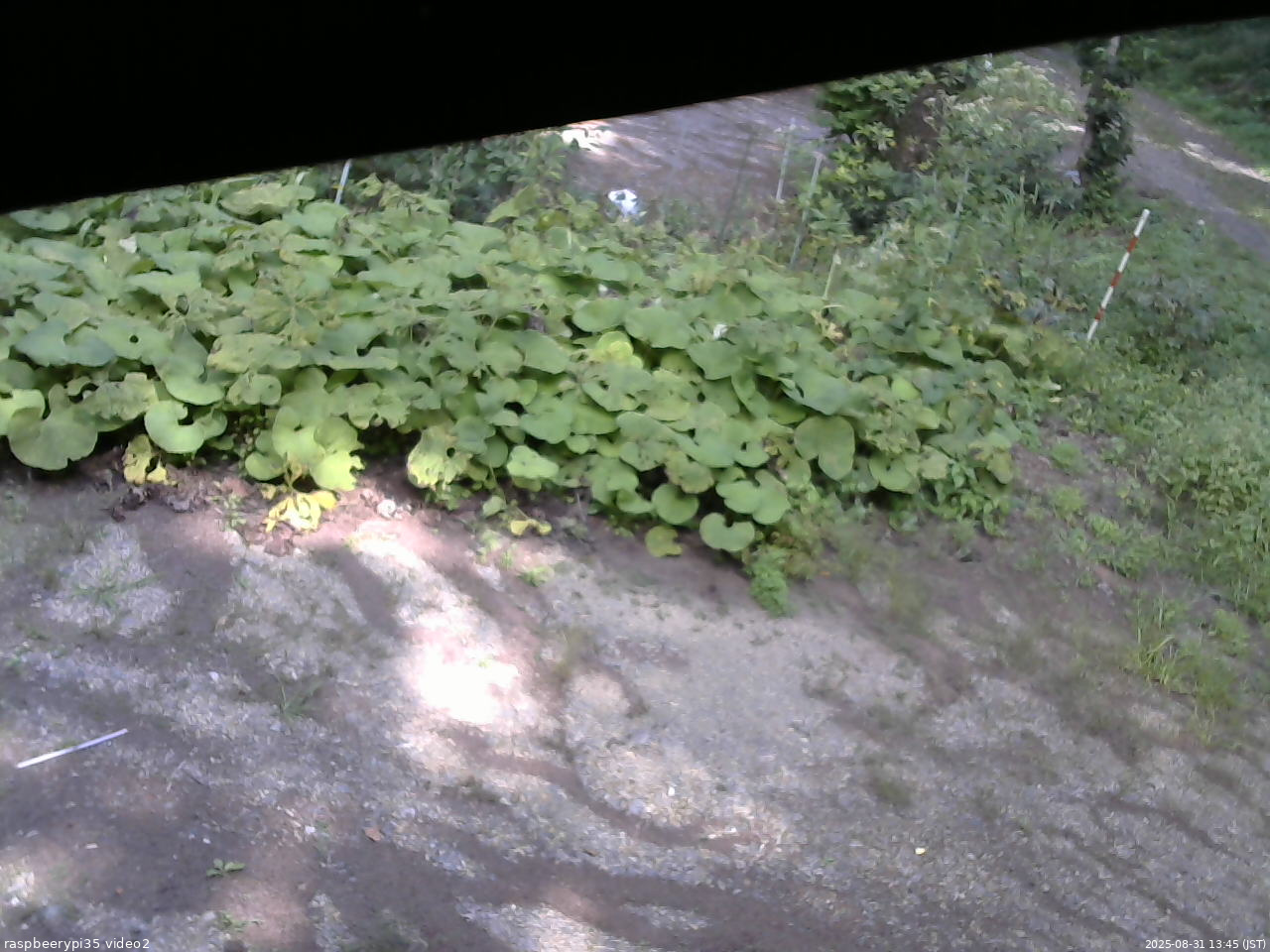 長野県菅平高原 ゆたか山荘 駐車場 2025/08/31 13:45
