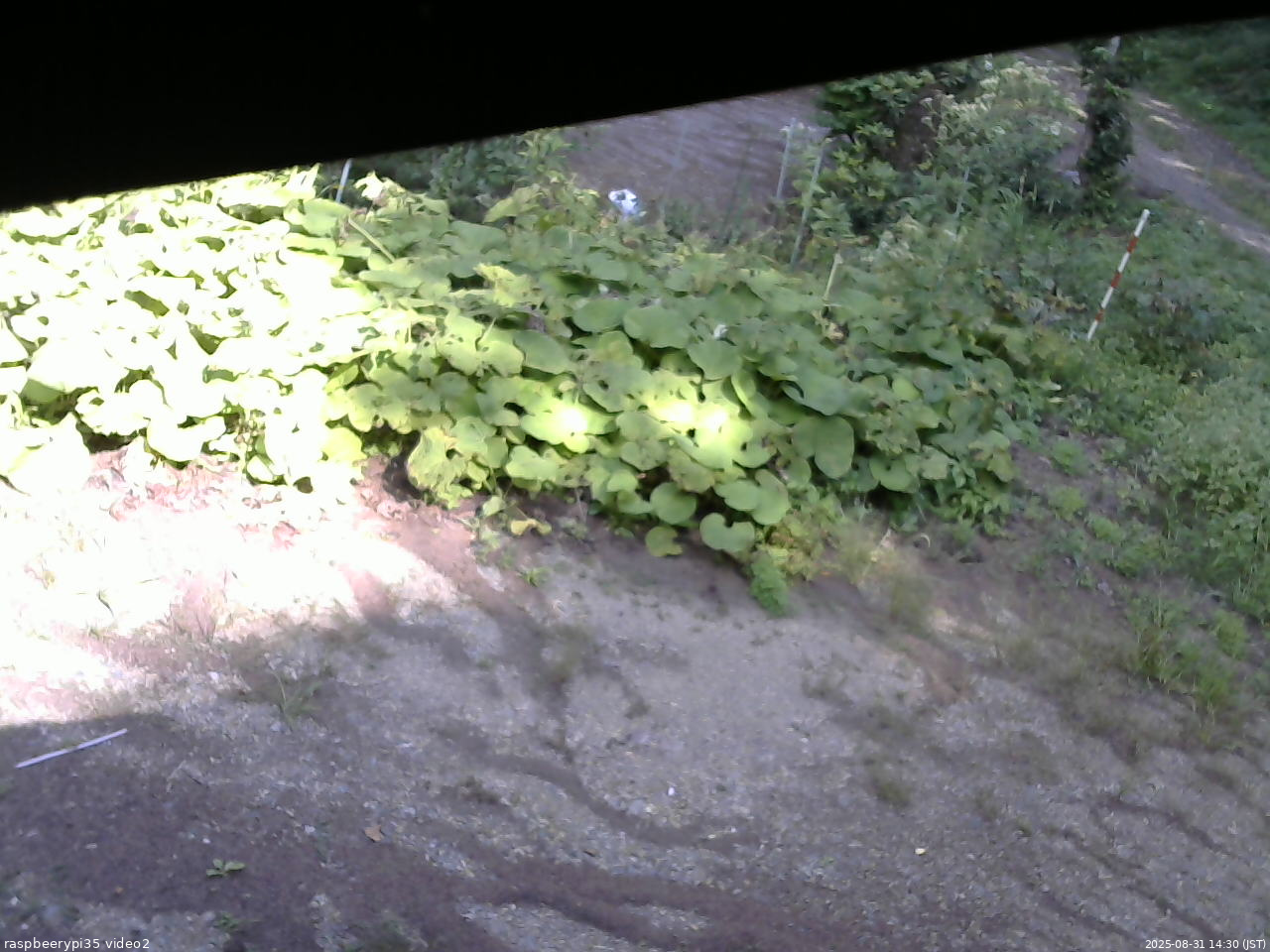 長野県菅平高原 ゆたか山荘 駐車場 2025/08/31 14:30