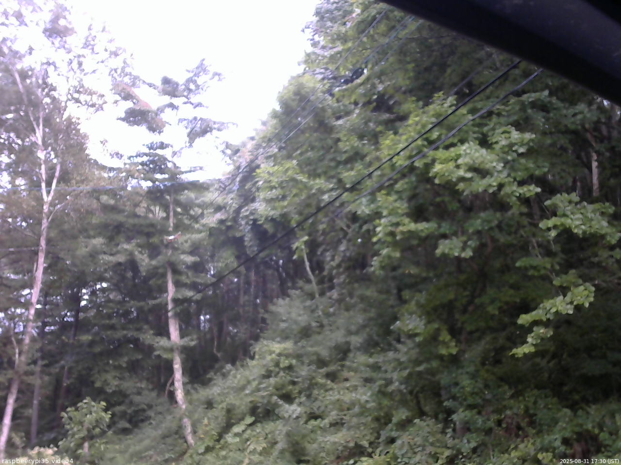 長野県菅平高原 ゆたか山荘 東側上空 2025/08/31 17:30
