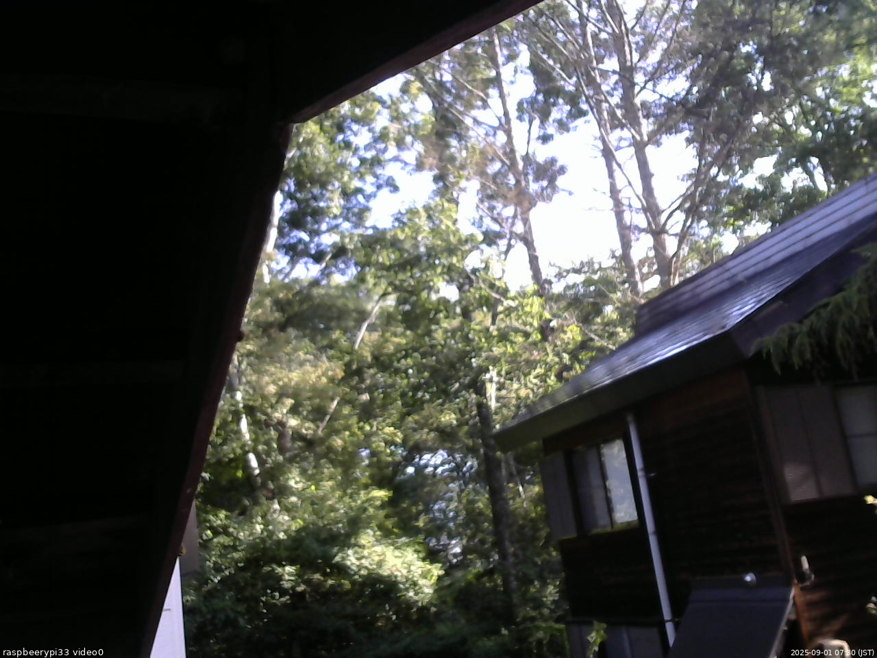 長野県菅平高原 ゆたか山荘 北側 2025/09/01 07:30