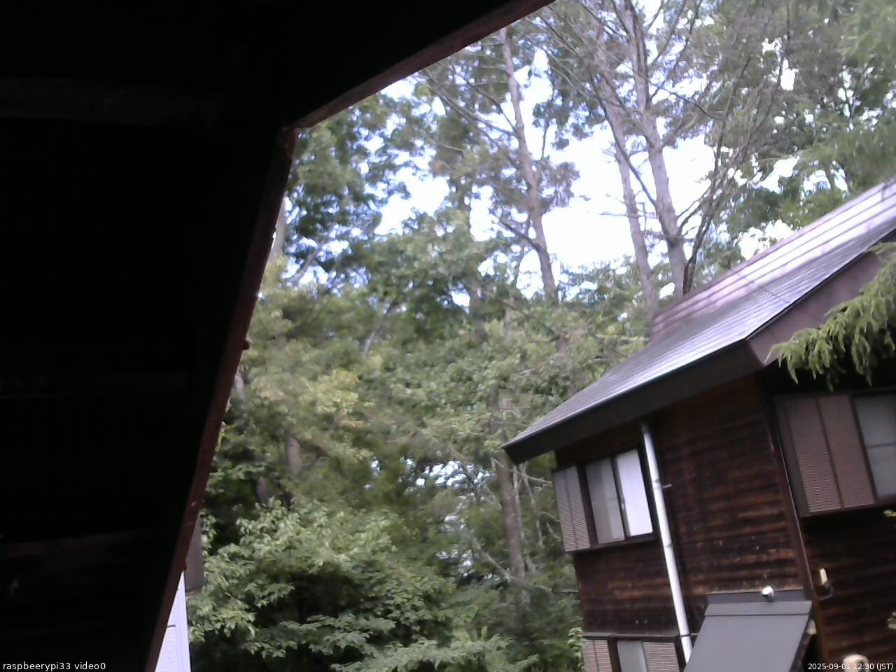 長野県菅平高原 ゆたか山荘 北側 2025/09/01 12:30