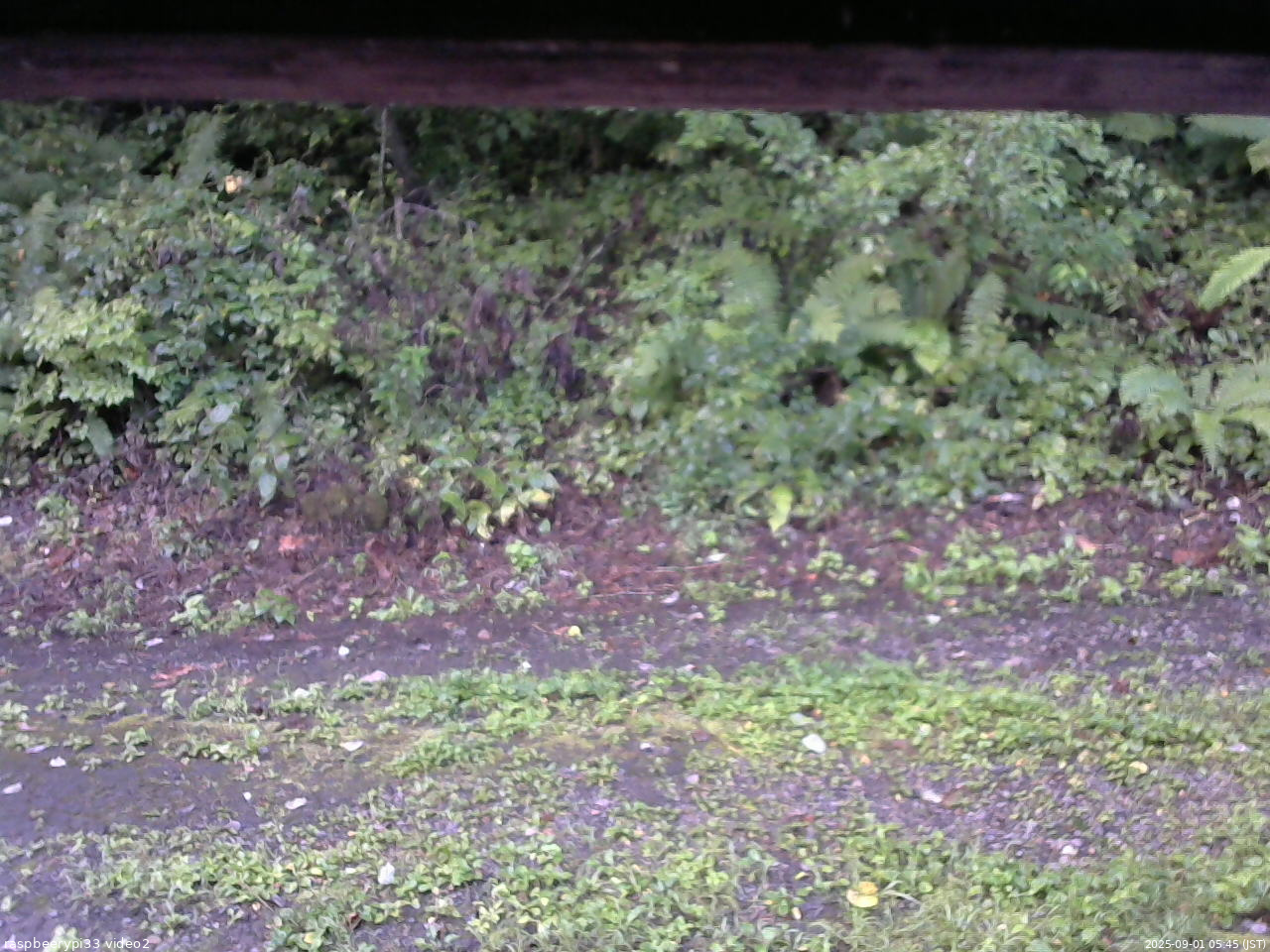 長野県菅平高原 ゆたか山荘 南側 2025/09/01 05:45