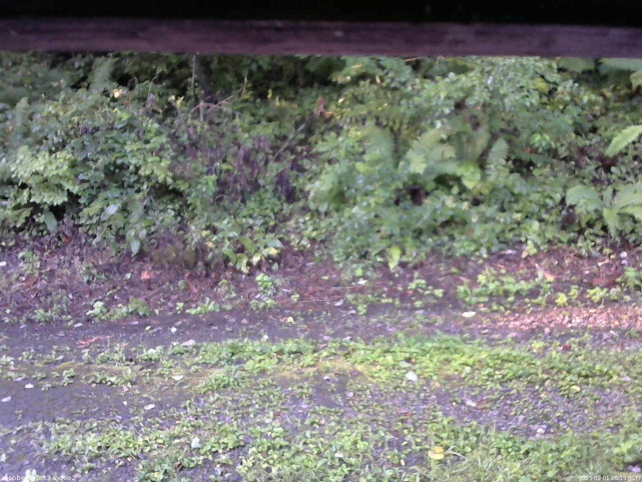 長野県菅平高原 ゆたか山荘 南側 2025/09/01 06:15
