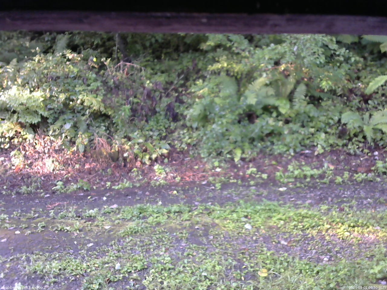 長野県菅平高原 ゆたか山荘 南側 2025/09/01 06:30