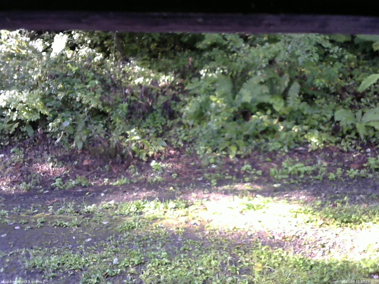 長野県菅平高原 ゆたか山荘 南側 2025/09/01 07:15