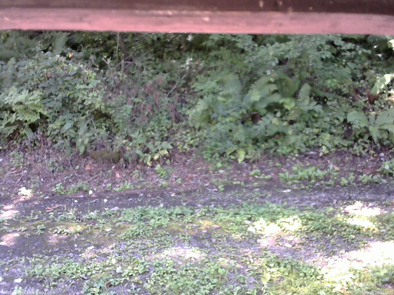 長野県菅平高原 ゆたか山荘 南側 2025/09/01 10:15