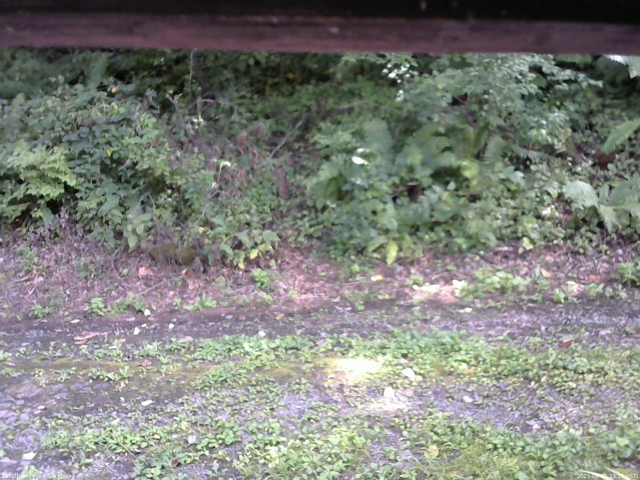 長野県菅平高原 ゆたか山荘 南側 2025/09/01 13:15