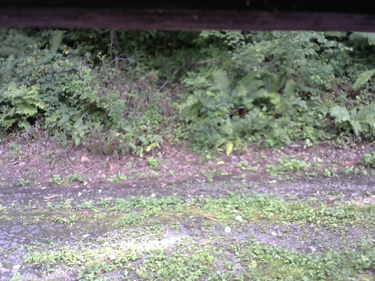 長野県菅平高原 ゆたか山荘 南側 2025/09/01 15:15