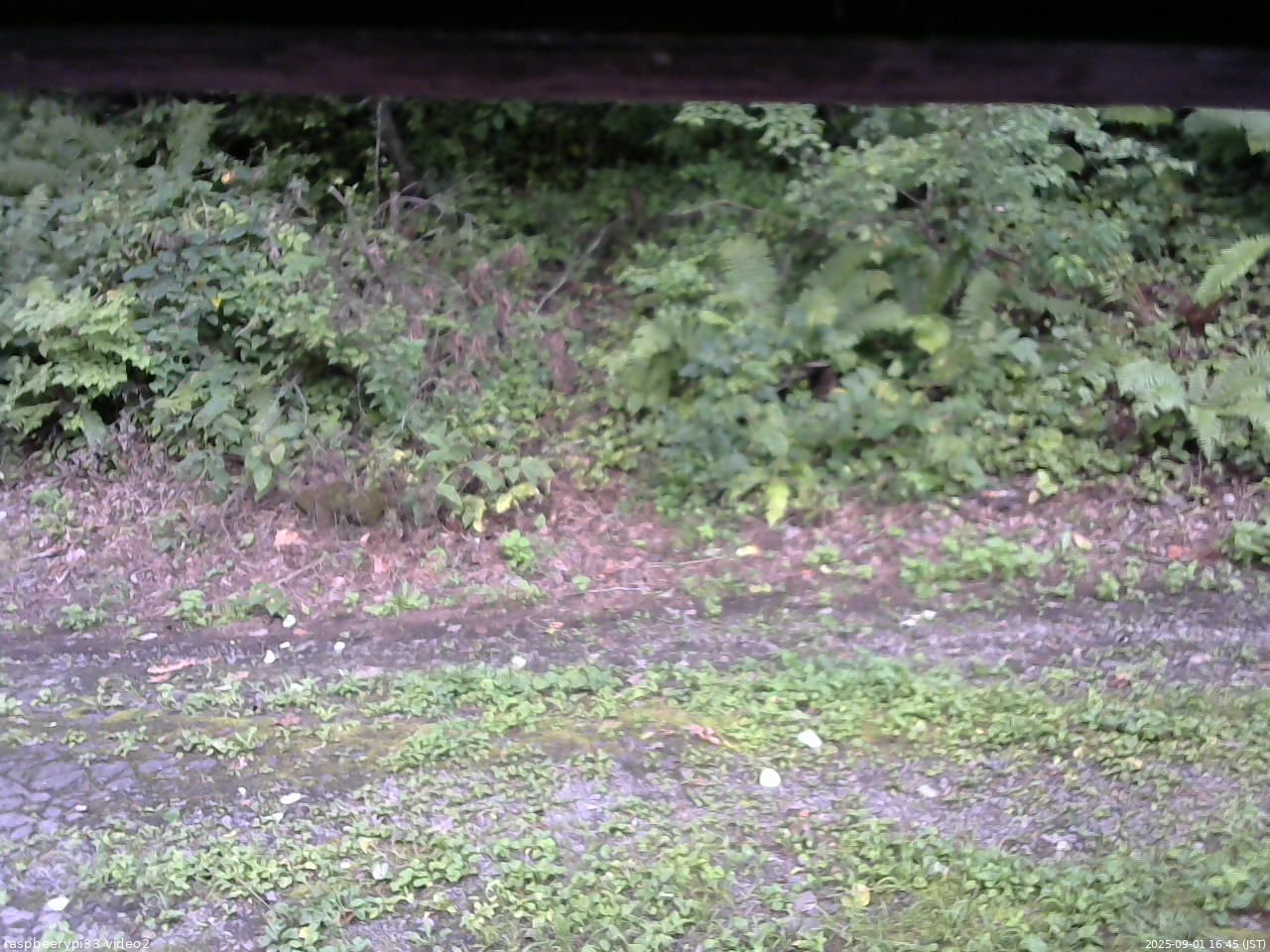 長野県菅平高原 ゆたか山荘 南側 2025/09/01 16:45