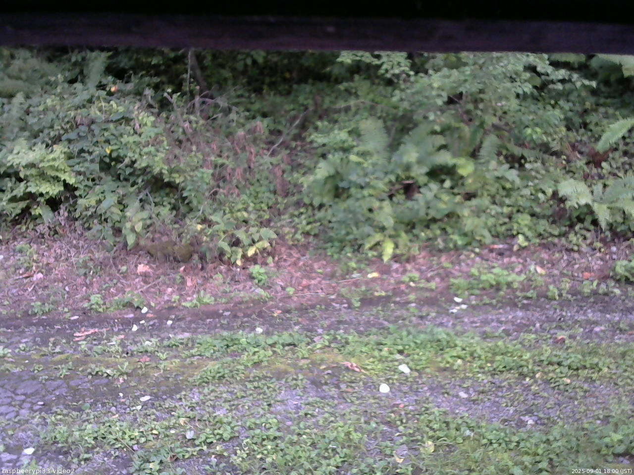 長野県菅平高原 ゆたか山荘 南側 2025/09/01 18:00