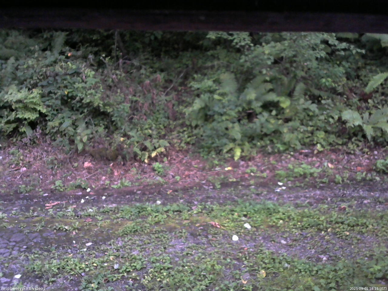 長野県菅平高原 ゆたか山荘 南側 2025/09/01 18:15