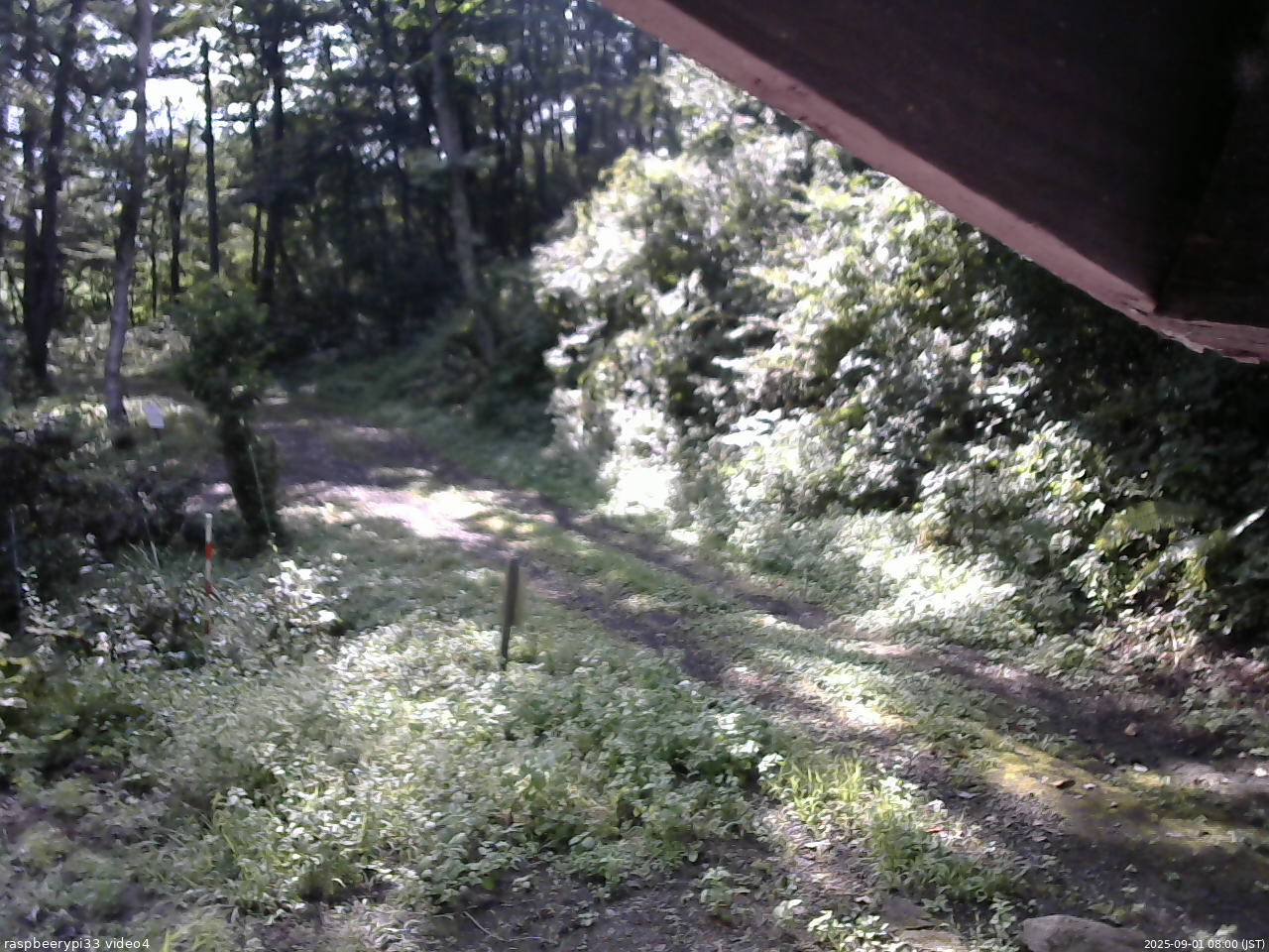 長野県菅平高原 ゆたか山荘 東側(坂下) 2025/09/01 08:00