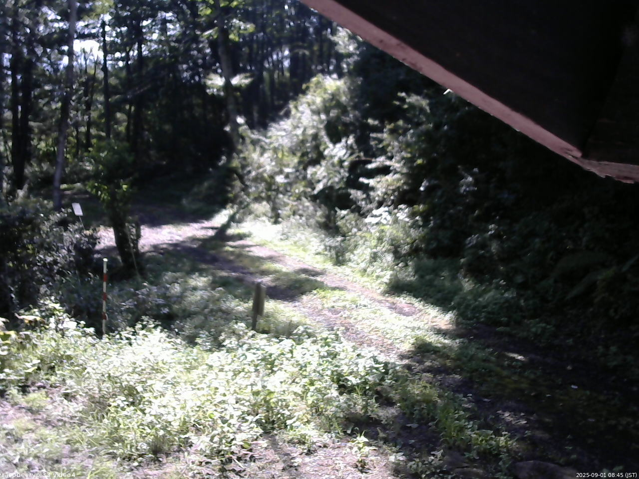 長野県菅平高原 ゆたか山荘 東側(坂下) 2025/09/01 08:45