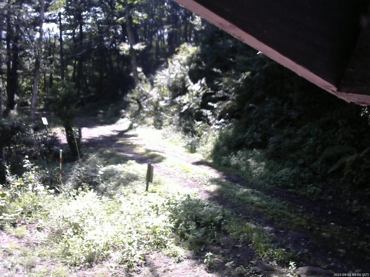 長野県菅平高原 ゆたか山荘 東側(坂下) 2025/09/01 09:00