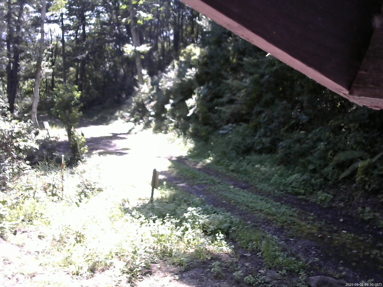 長野県菅平高原 ゆたか山荘 東側(坂下) 2025/09/01 09:30