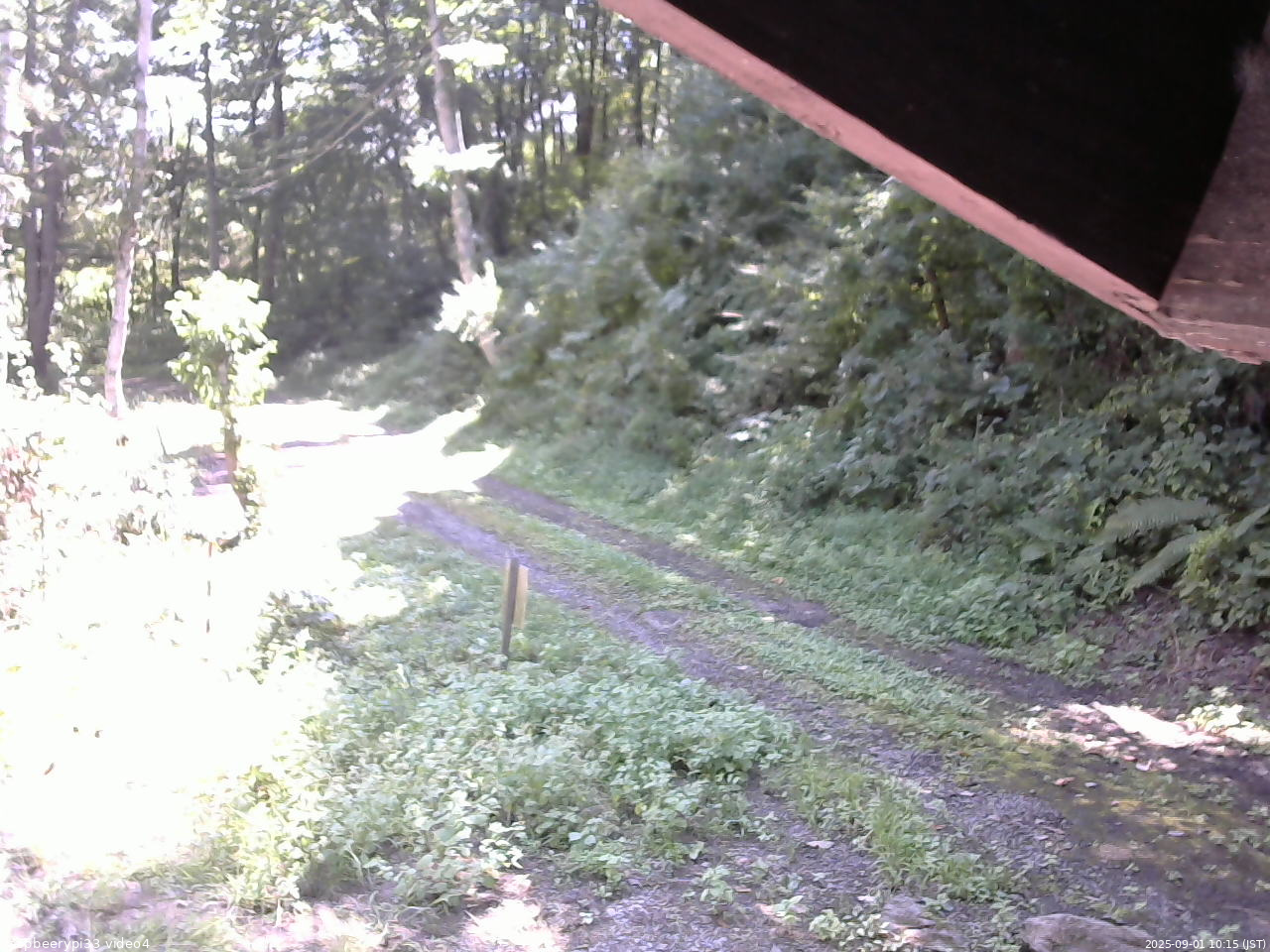 長野県菅平高原 ゆたか山荘 東側(坂下) 2025/09/01 10:15