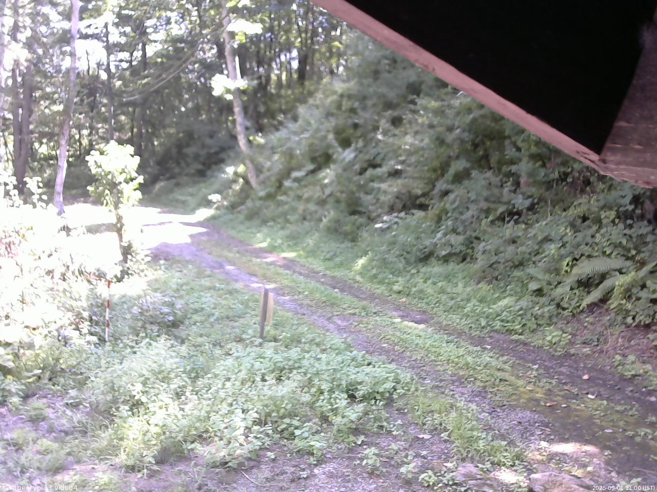 長野県菅平高原 ゆたか山荘 東側(坂下) 2025/09/01 11:00