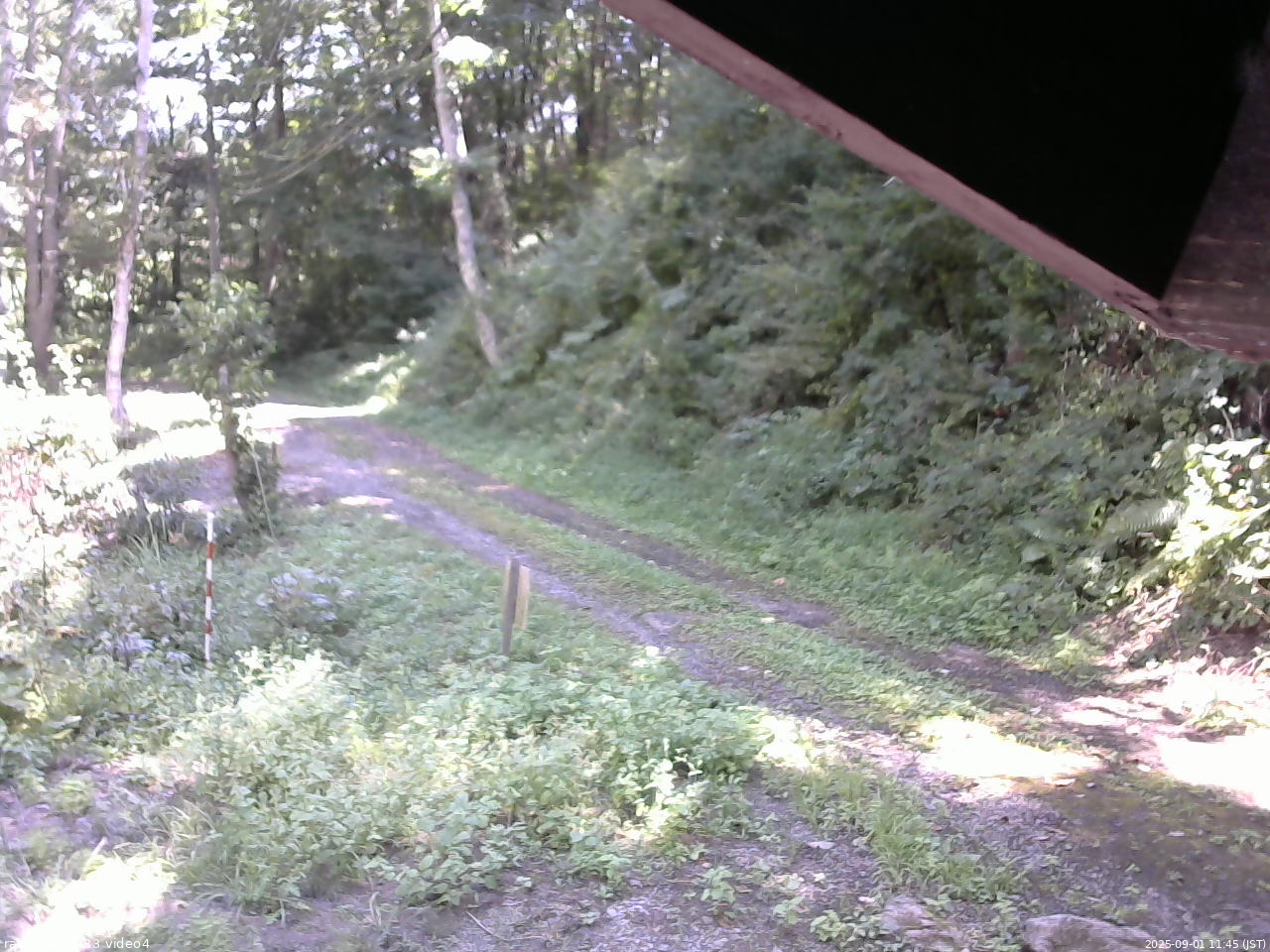 長野県菅平高原 ゆたか山荘 東側(坂下) 2025/09/01 11:45