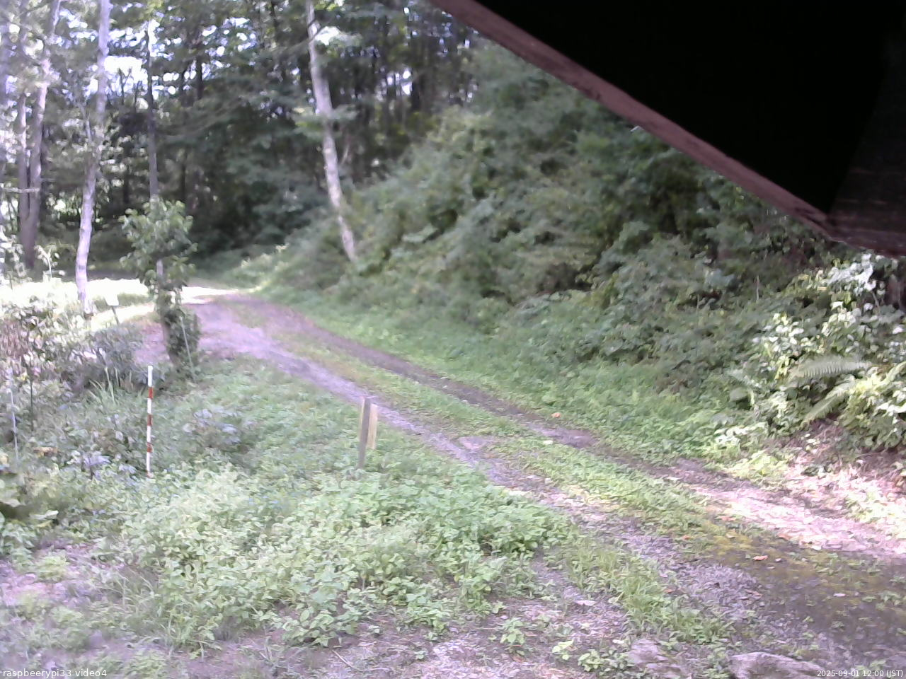 長野県菅平高原 ゆたか山荘 東側(坂下) 2025/09/01 12:00