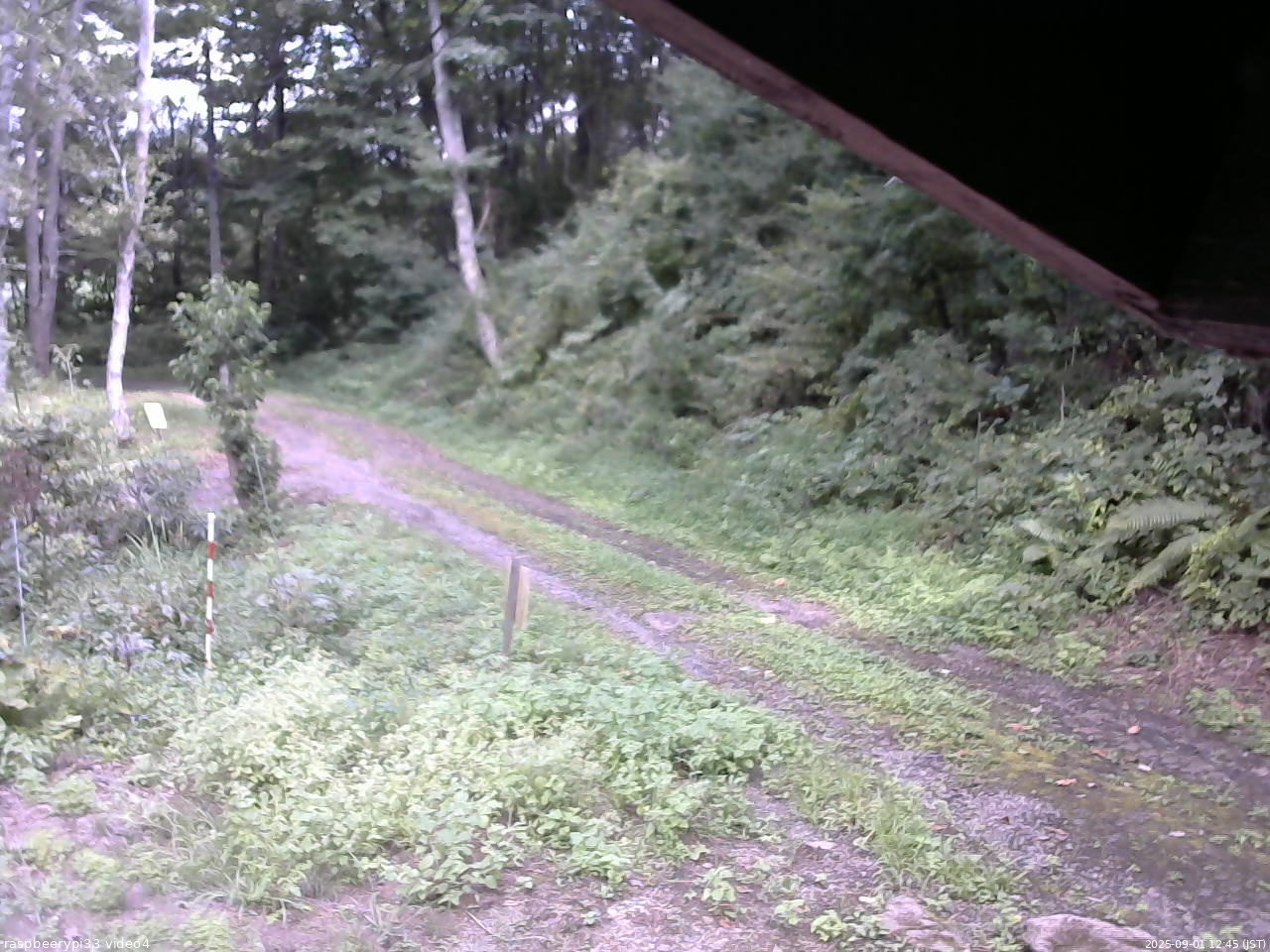 長野県菅平高原 ゆたか山荘 東側(坂下) 2025/09/01 12:45
