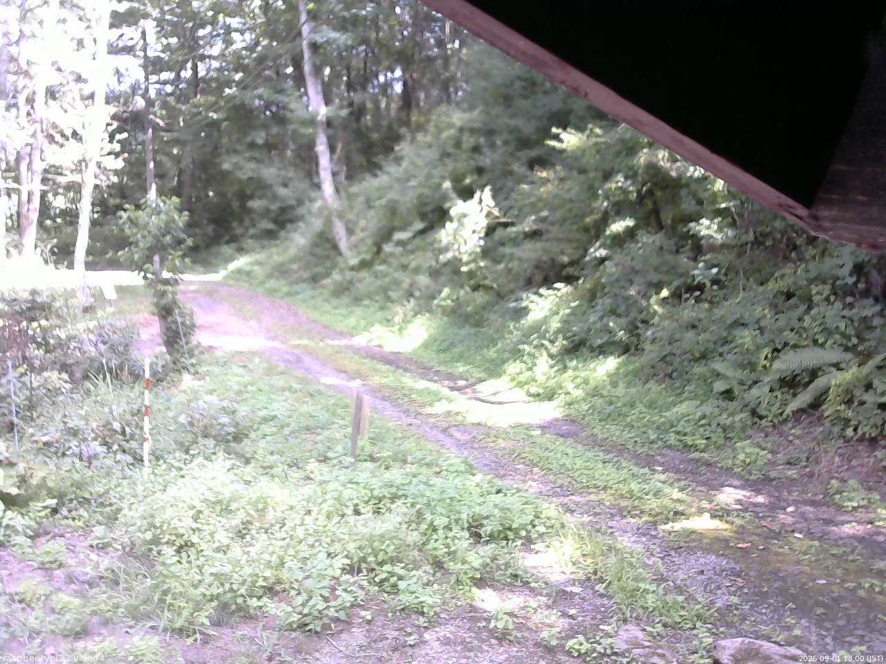 長野県菅平高原 ゆたか山荘 東側(坂下) 2025/09/01 13:00