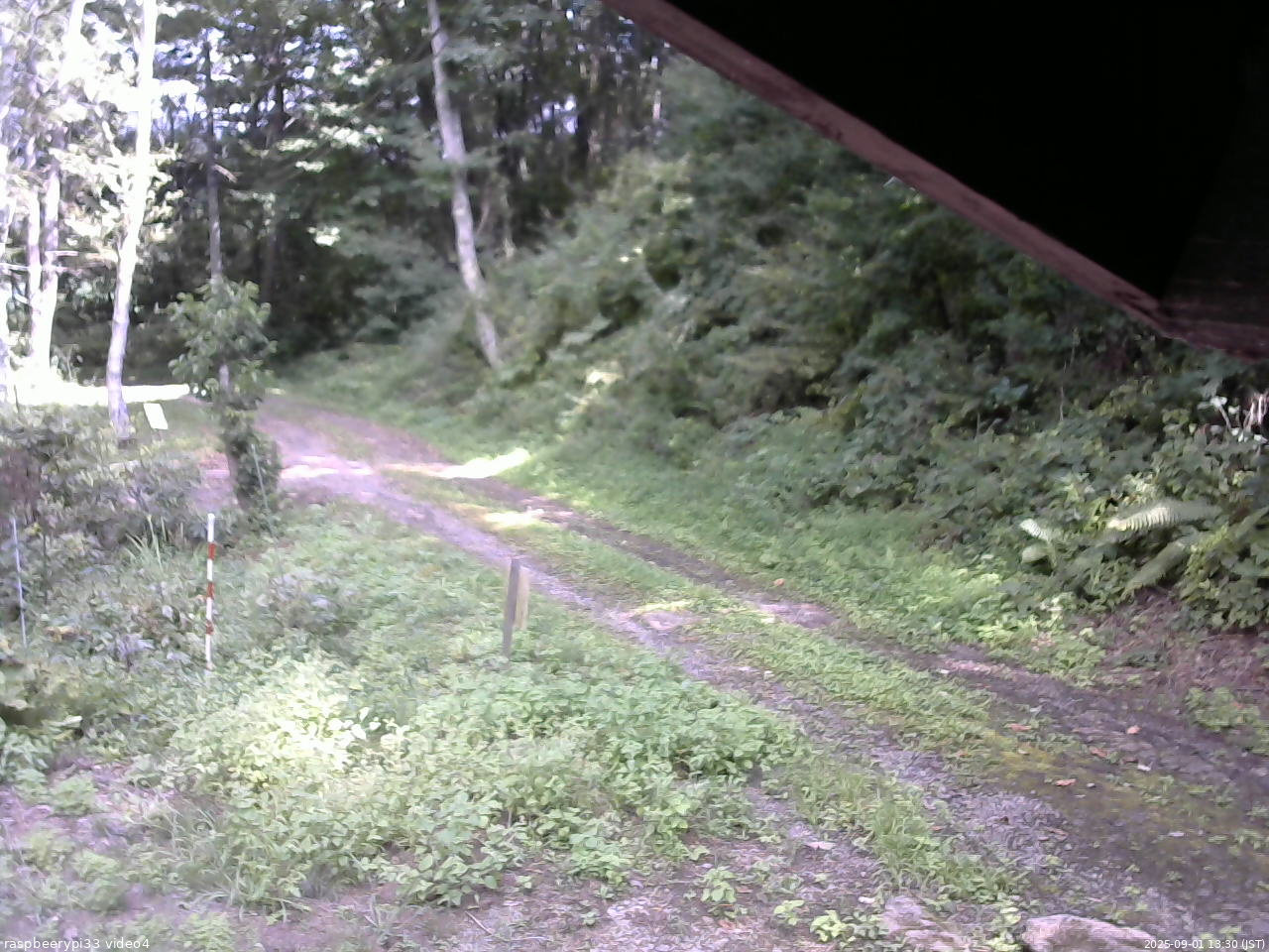長野県菅平高原 ゆたか山荘 東側(坂下) 2025/09/01 13:30
