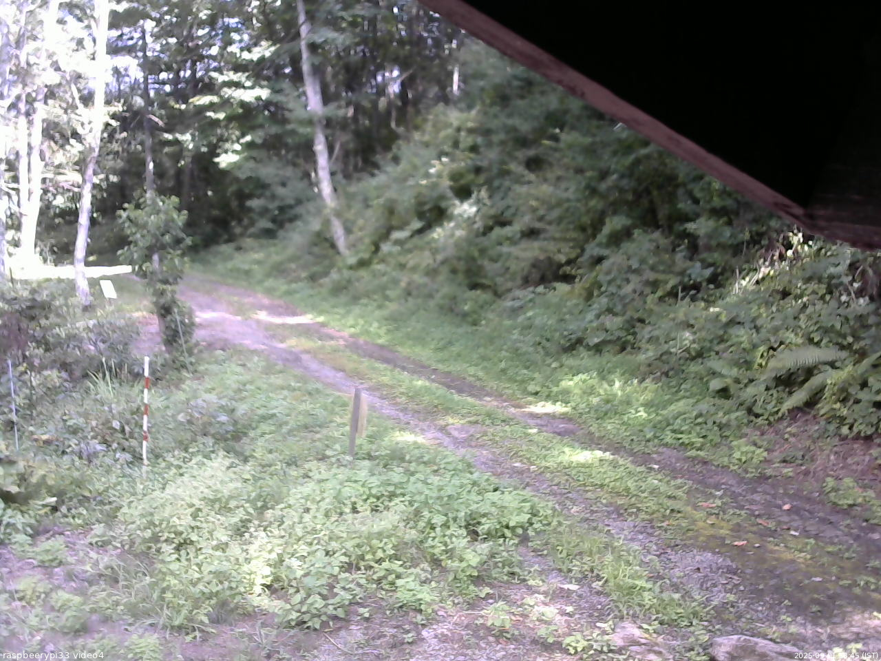 長野県菅平高原 ゆたか山荘 東側(坂下) 2025/09/01 13:45