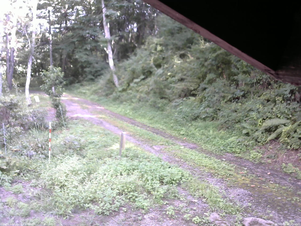 長野県菅平高原 ゆたか山荘 東側(坂下) 2025/09/01 14:45