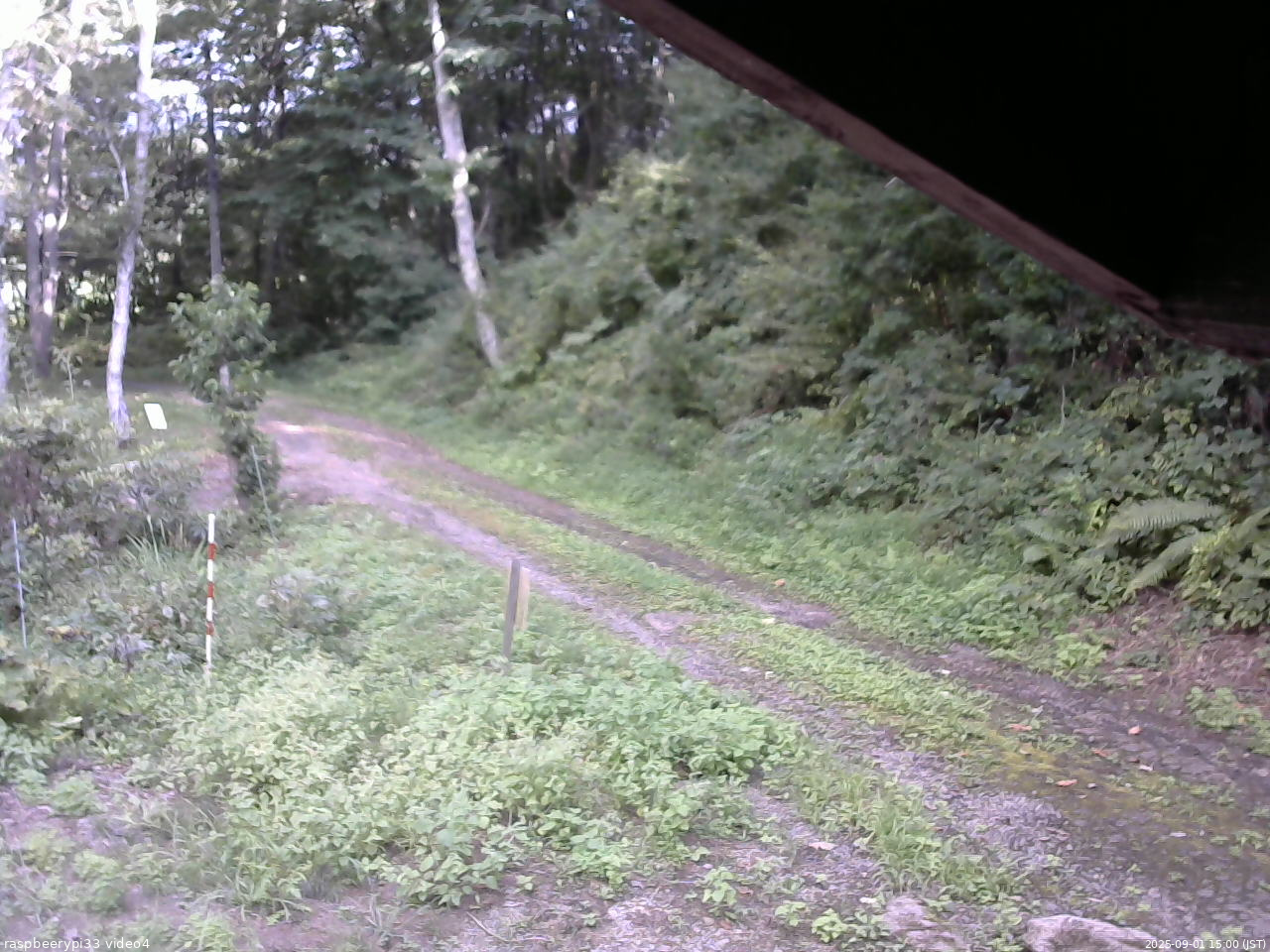 長野県菅平高原 ゆたか山荘 東側(坂下) 2025/09/01 15:00