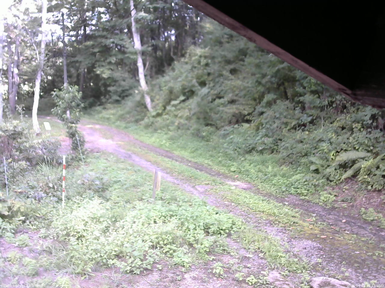 長野県菅平高原 ゆたか山荘 東側(坂下) 2025/09/01 15:15