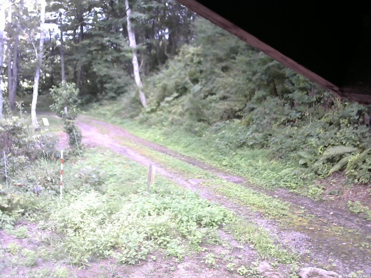長野県菅平高原 ゆたか山荘 東側(坂下) 2025/09/01 15:45