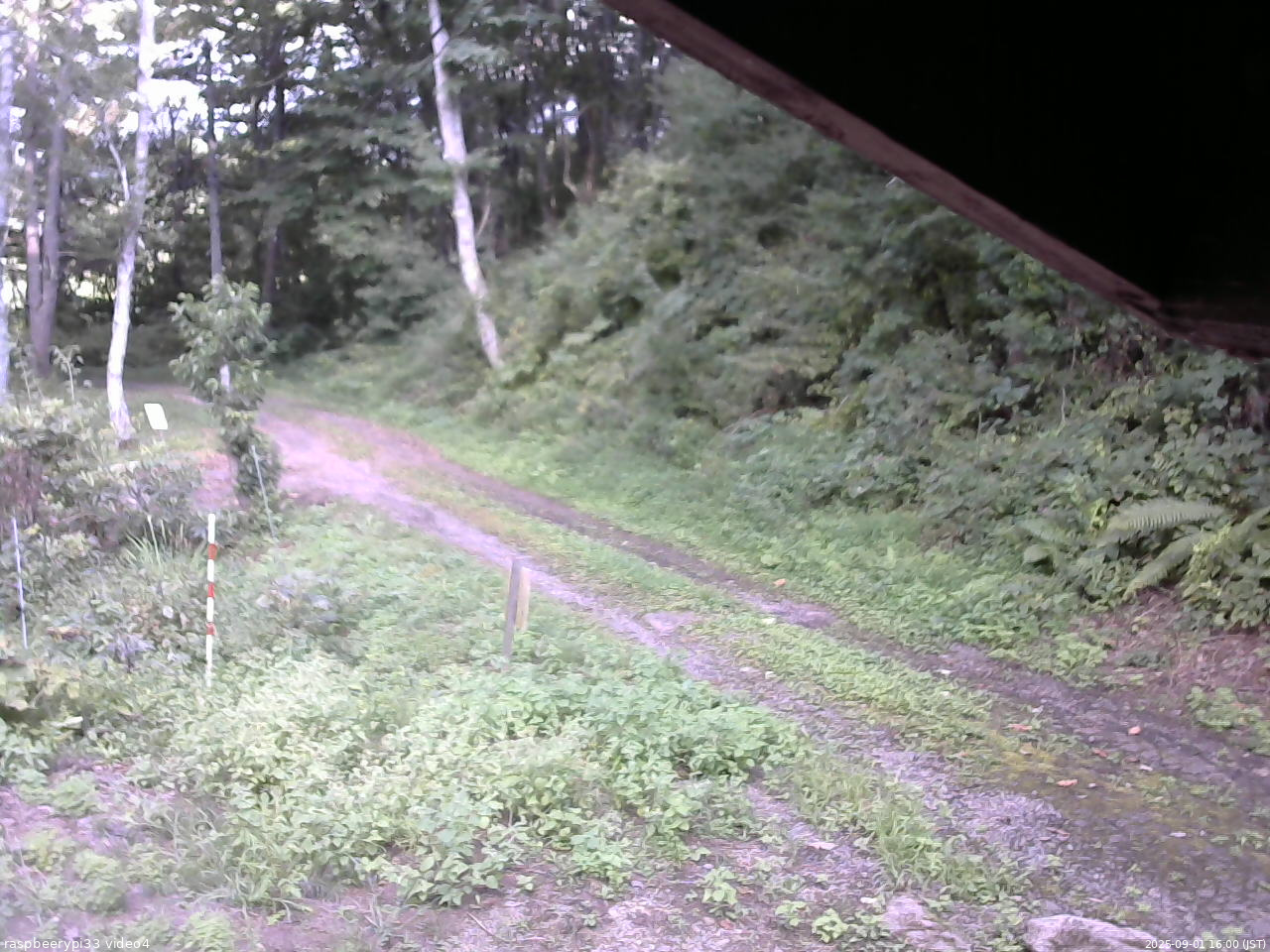 長野県菅平高原 ゆたか山荘 東側(坂下) 2025/09/01 16:00