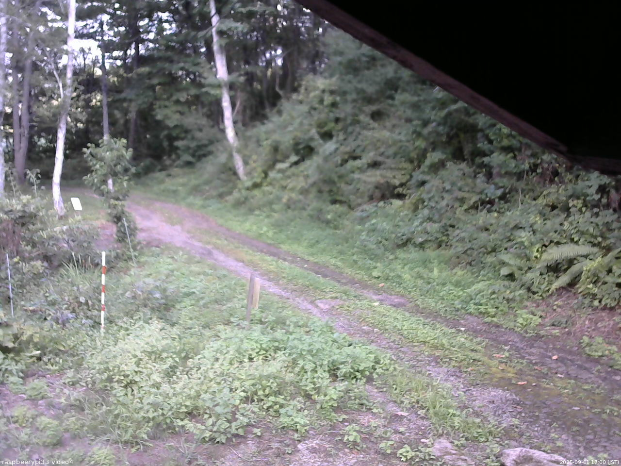 長野県菅平高原 ゆたか山荘 東側(坂下) 2025/09/01 17:00