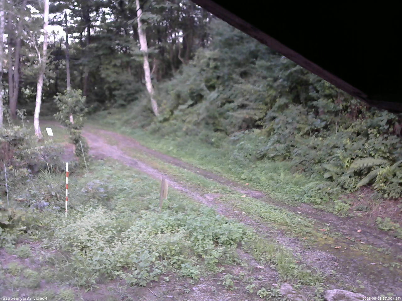 長野県菅平高原 ゆたか山荘 東側(坂下) 2025/09/01 17:30