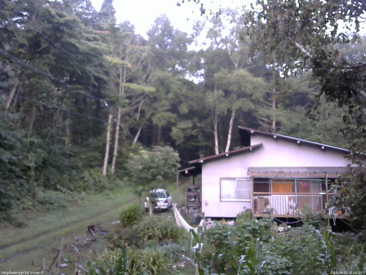 長野県菅平高原 ゆたか山荘 西側(坂上) 2025/09/01 05:30