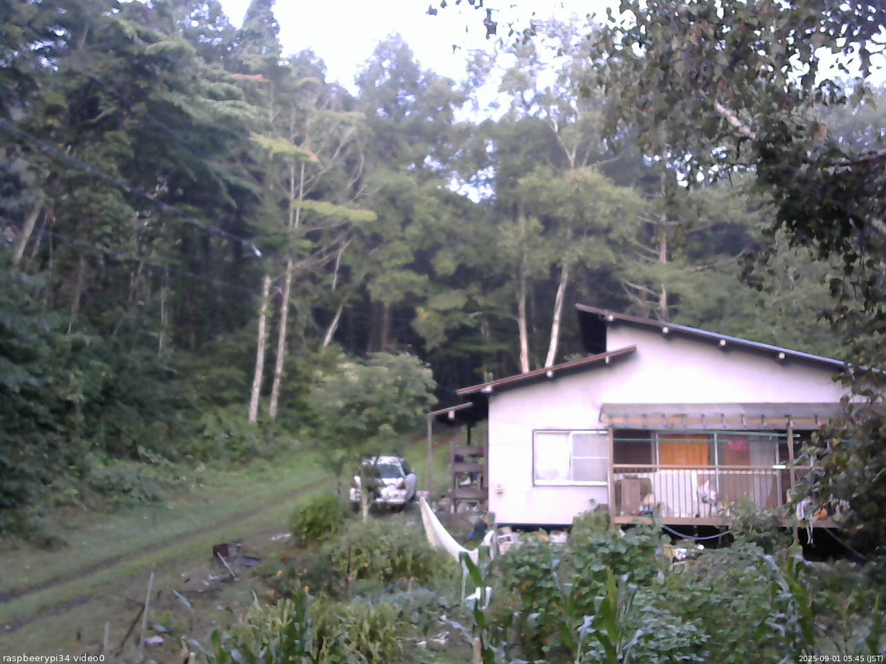 長野県菅平高原 ゆたか山荘 西側(坂上) 2025/09/01 05:45